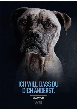 Poster - Ich will, dass du dich änderst (Hund)
