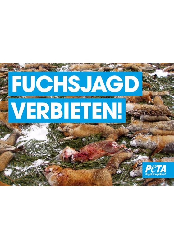 Poster - Fuchsjagd verbieten