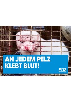 Poster - An jedem Pelz klebt Blut