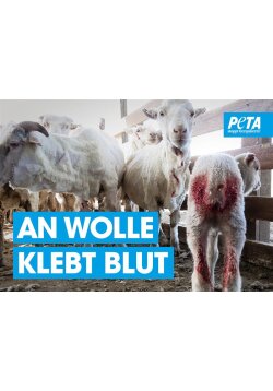 Poster - An Wolle klebt Blut