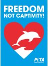Sticker - Freedom Not Captivity!