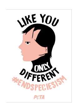 Sticker - #endspeciesism