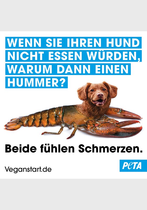Nicht essen (Hund/Hummer) Sticker, 1,00 €