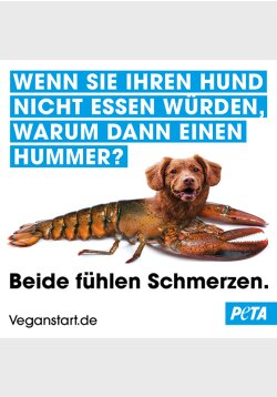 Sticker - Wenn sie ihren Hund nicht essen würden