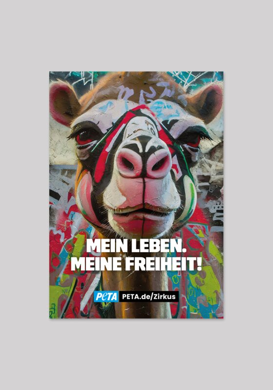 Sticker - Mein Leben. Meine Freiheit (Kamel)