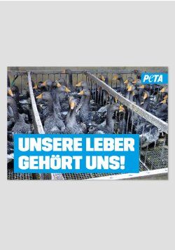 Poster - Unsere Leber gehört uns