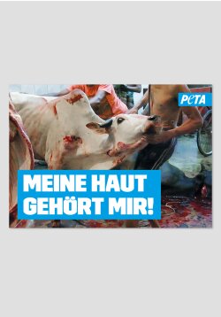 Poster - Meine Haut gehört mir