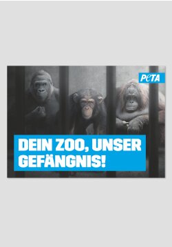 Poster - Dein Zoo, unser Gefängnis (Affe)