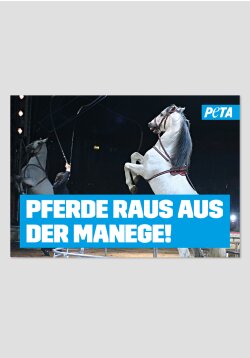 Poster - Pferde raus aus der Manege