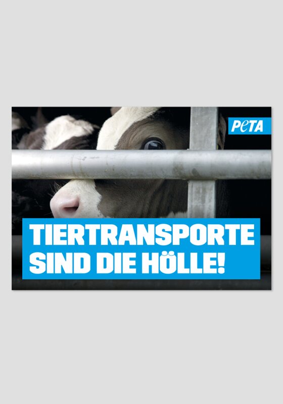 Poster -Tiertransporte sind die Hölle