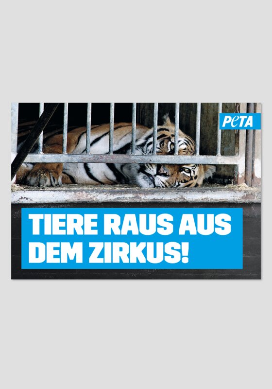 Poster -Tiere raus aus dem Zirkus (Tiger)