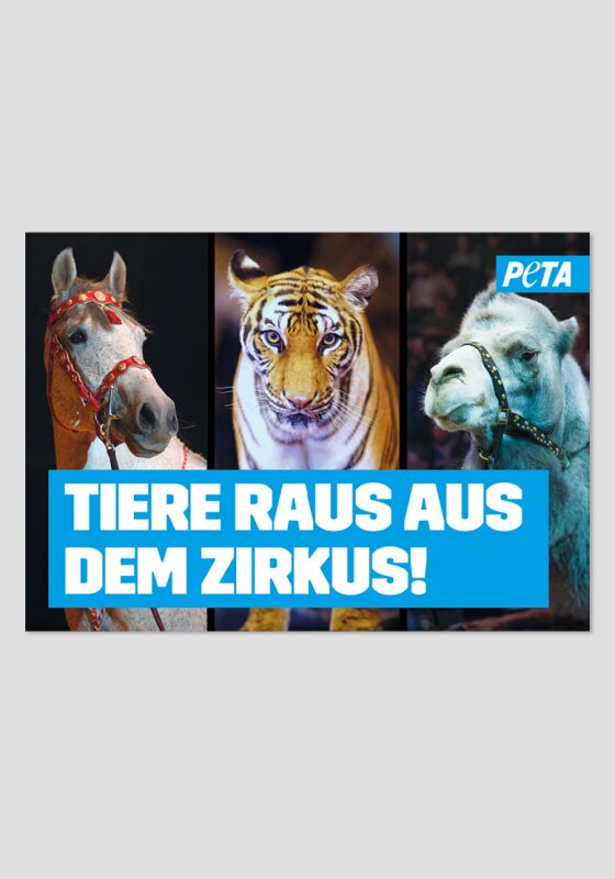 Poster -Tiere raus aus dem Zirkus (verschiedene Tiere)