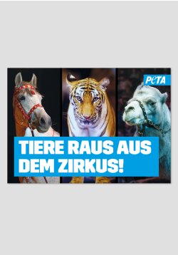 Poster -Tiere raus aus dem Zirkus (verschiedene Tiere)