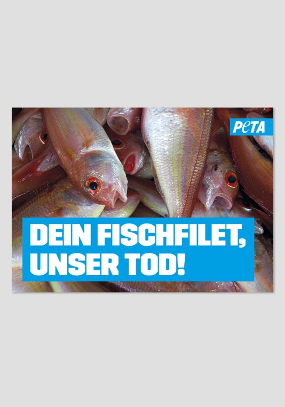 Poster - Dein Fischfilet, unser Tod