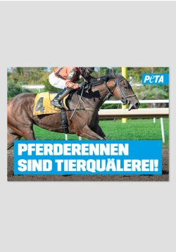 Poster - Pferderennen sind Tierquälerei