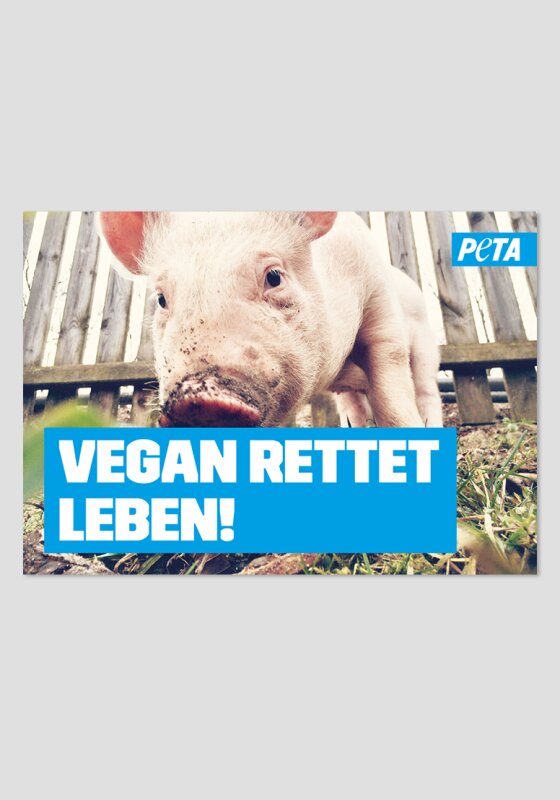 Poster - Vegan rettet Leben