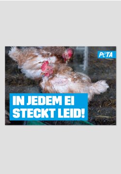 Poster - In jedem Ei steckt Leid