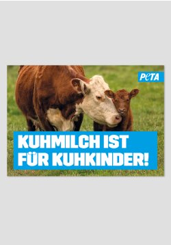 Poster - Kuhmilch ist für Kuhkinder