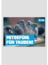 Poster - Mitgefühl für Tauben