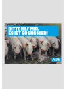 Posterreihe - Schweineleid