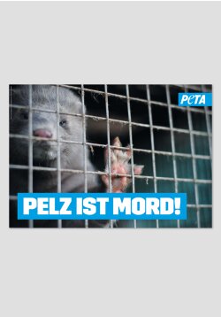 Poster - Pelz ist Mord